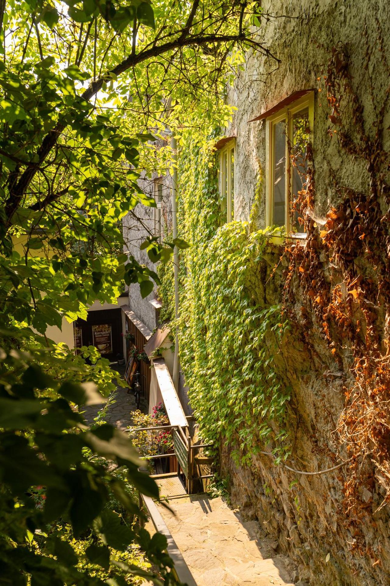 Penzion Prijemny Oddych Banska Stiavnica Ngoại thất bức ảnh